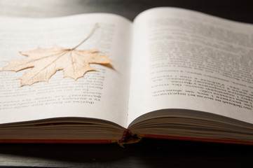 Fototapeta premium An open book is on the table. On a dark background. Close-up. Maple Leaf as a bookmark