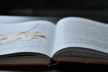 An open book is on the table. On a dark background. Close-up. Maple Leaf as a bookmark