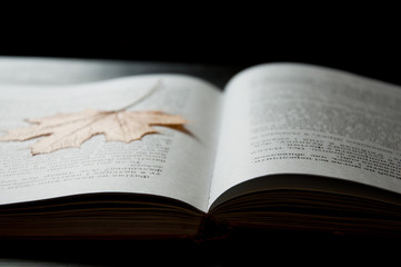 An open book is on the table. On a dark background. Close-up. Maple Leaf as a bookmark