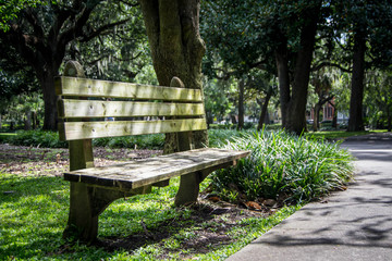 Aged park bench