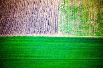 abstract aerial view of agricultural field in spring