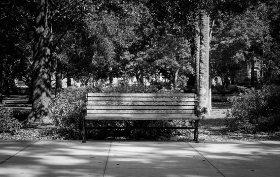 Black and white park bench