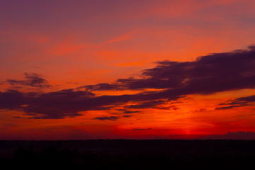 Fototapeta na wymiar Red sunset forest landscape. Nature horizontal scenery. Picturesque, scenic view background. Vibrant colorful dusk, dawn. Natural wilderness, late night travel. Meeting sunrise outdoors