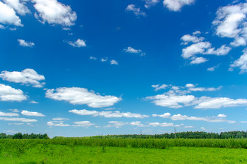 Beautiful summer landscape with green grass and blue sky with white clouds.