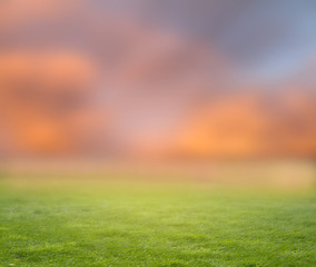 Green grass and blurry sky background