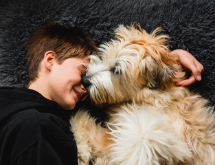 Dog licking boy while lying on rug at home