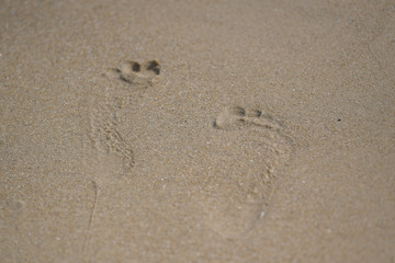 Fototapeta na wymiar Footprint on the beach 