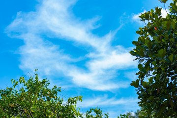 Sky