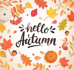 Hello Autumn banner in frame of colorful autumn leaves, rowan berries,acorns, pumpkin for fall season flyers,presentations, reports promotion,web and leaflet, card, poster.Top view. Vector. © tandav