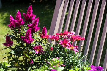 Blumendekoration auf einem Holzstuhl