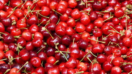 Ciliegie tenerine rosse in vendita dal fruttivendolo