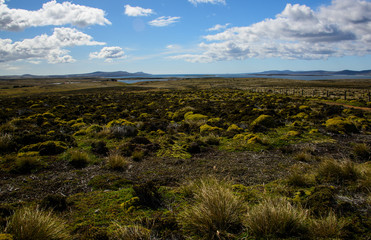 Landscape in Falkland Island