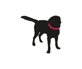 Vector silhouette of big dog on white background.