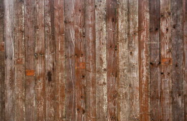 Fototapeta premium Wood texture