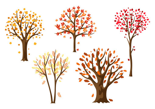 Set of autumn abstract stylized trees.