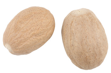 Nutmeg on white background isolated, top view