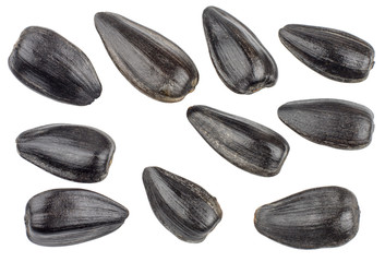 Sunflower seeds isolated on white background, top view