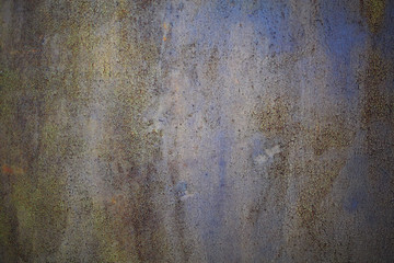 Old metal door upholstery with traces of corrosion
