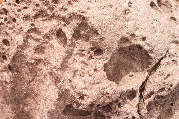 Stone background texture background natural stone.