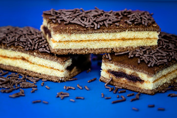 piece of chocolate cake