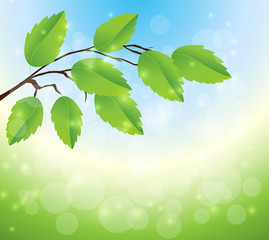 Background of green leaves, summer or spring season. Vector illustration.