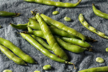 Raw Green Organic Fava Beans