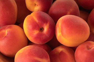 fresh red apricots background
