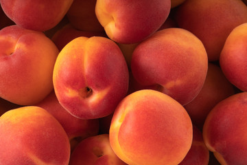 fresh red apricots background