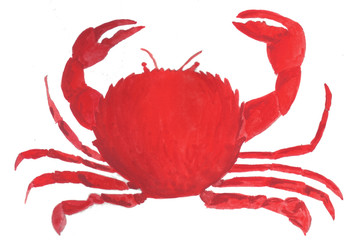 Deep sea dweller, exotic representative of marine fauna. Watercolor hand drawn illustration