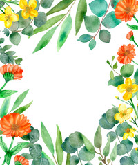 Watercolor hand painted green floral banner with field plants and eucalyptus silver dollar isolated on white background. Healing herbs for greeting cards, wedding invitations,  save the date or design