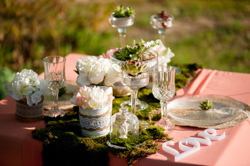  Rustic wedding table setting with succulents and moss