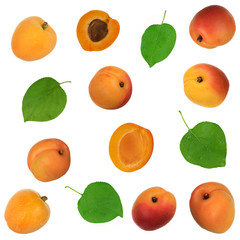 fresh apricots with green leaves  isolated background