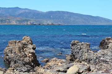 Fototapeta na wymiar Jagged rocks on the edge of Lyall Bay in Wellington, New Zealand.