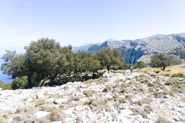 Mallorca. Mountain range Serra de Tramuntana. Mountain peaks and valleys on the way to Sa Calobra...