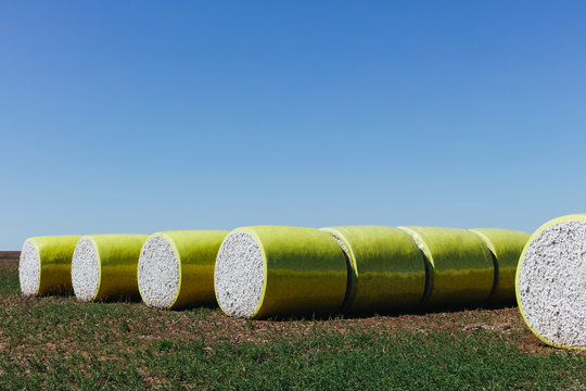 Harvested cotton bales wrapped in yellow plastic vinyl ,Cotton Bales
