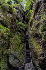 wild hell trail in saxon switzerland, germany