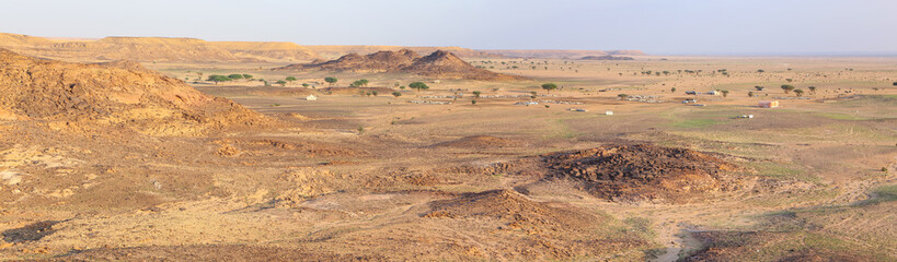 Fototapeta na wymiar Saudi Arabia Desert Sheep Farming
