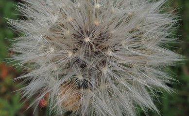 Fototapeta premium OLYMPUS DIGITAL CAMERA