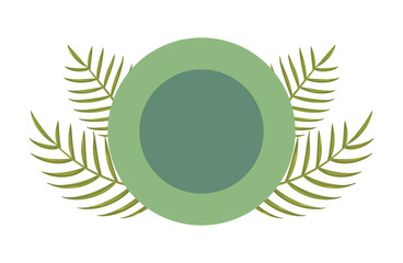 summer time badge vector illustratio