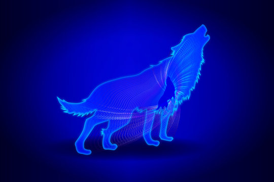 Lobo Puntos