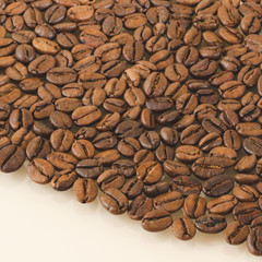 Coffee beans closeup on a white background. Matte shot with empty space below
