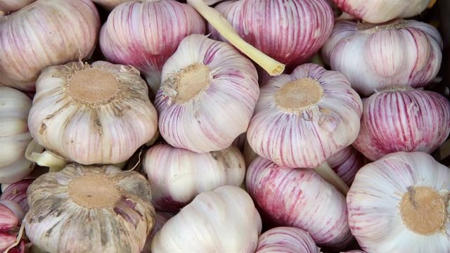 fresh garlic on the market