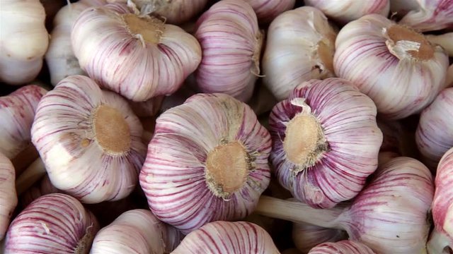 young garlic on the market