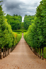 yellow  sand walkway  in garden in rainy day