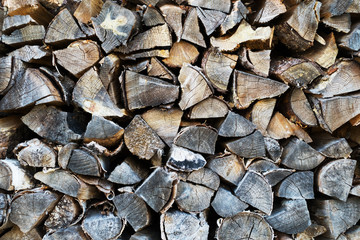 Many cut logs laying in a pile