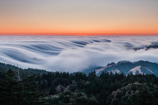 Rolling Fog 