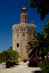 Fototapeta na wymiar Torre del Oro in Seville