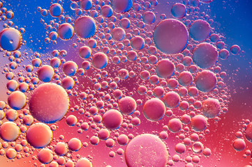 Colourful oil ink bubbles and drops. Abstract template mixed texture background. Wallpaper pattern.