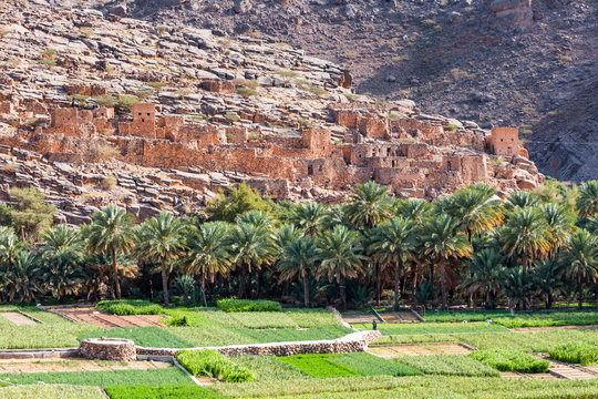 Al Hamra and fields, Ad Dakhiliyah, Oman
