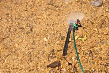 Garden sprinklers spraying water onto plants. 